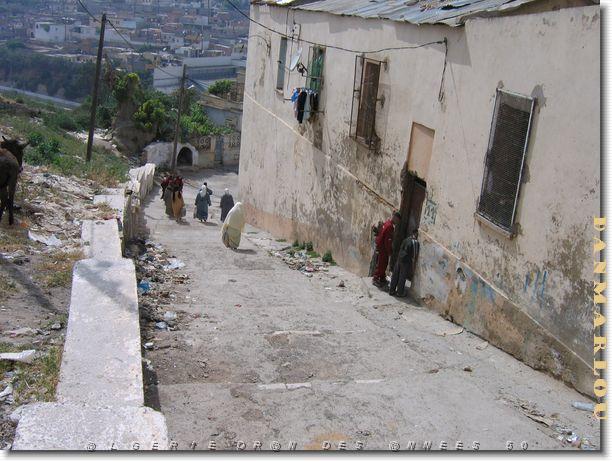ORAN RUE MONTHABOR LE CREVE COEUR.jpg